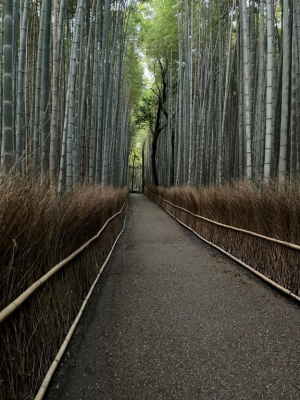広島県広島市中区薬研堀のヘルス オアシスの写メ日記　?画像