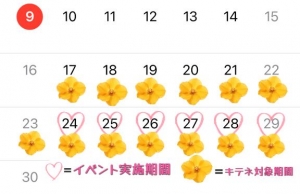 広島県広島市中区薬研堀のヘルス オアシスの写メ日記　キテネイベントのお知らせ??画像