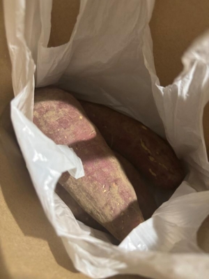 広島県広島市中区薬研堀のヘルス オアシスの写メ日記　?*｡ﾟ画像