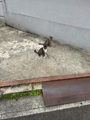 広島県広島市中区薬研堀のヘルス オアシスの写メ日記　ありがとう??画像
