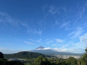 広島県広島市中区薬研堀のヘルス オアシスの写メ日記　あけましておめでとうございます?画像
