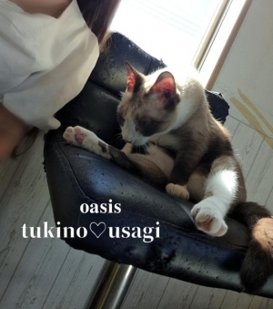 広島県広島市中区薬研堀のヘルス オアシスの写メ日記　?＃ にゃ にゃ にゃ画像