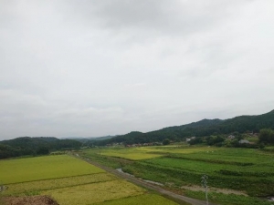 広島県広島市中区薬研堀のヘルス オアシスの写メ日記　【お礼写メ日記】画像