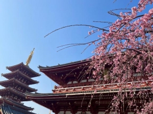 広島県広島市中区薬研堀のヘルス オアシスの写メ日記　復活?画像