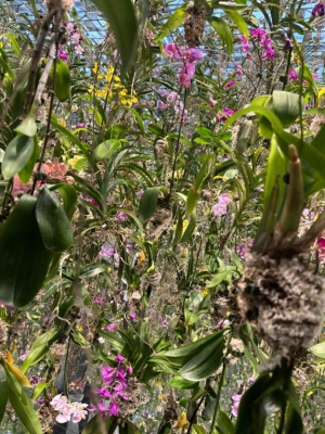 広島県広島市中区薬研堀のヘルス オアシスの写メ日記　?*｡ﾟ画像