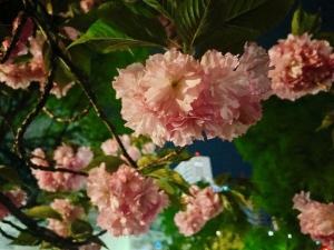 広島県広島市中区薬研堀のヘルス オアシスの写メ日記　早めに画像