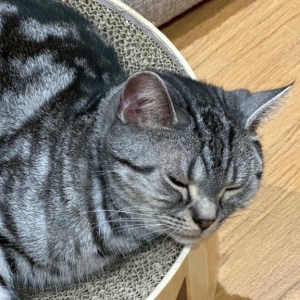 広島県広島市中区薬研堀のヘルス オアシスの写メ日記　17時から??画像