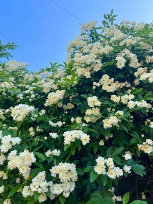 広島県広島市中区薬研堀のヘルス オアシスの写メ日記　?画像