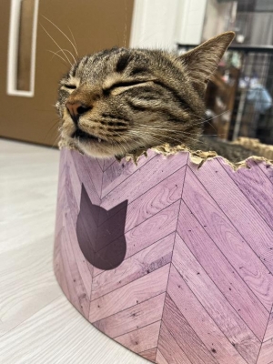 広島県広島市中区薬研堀のヘルス オアシスの写メ日記　?画像