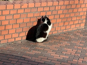 広島県広島市中区薬研堀のヘルス オアシスの写メ日記　すみません画像
