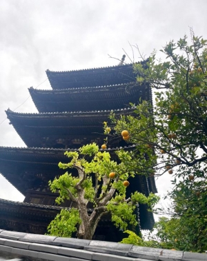 広島県広島市中区薬研堀のヘルス オアシスの写メ日記　?画像