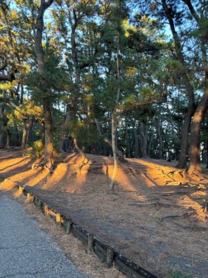 広島県広島市中区薬研堀のヘルス オアシスの写メ日記　?*｡ﾟ画像