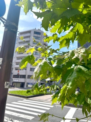 広島県広島市中区薬研堀のヘルス オアシスの写メ日記　????画像